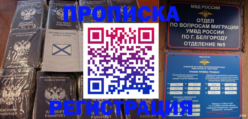 прописка гарантия в Кашине